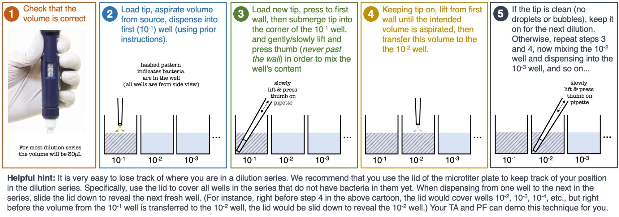 Guide to executing a dilution series